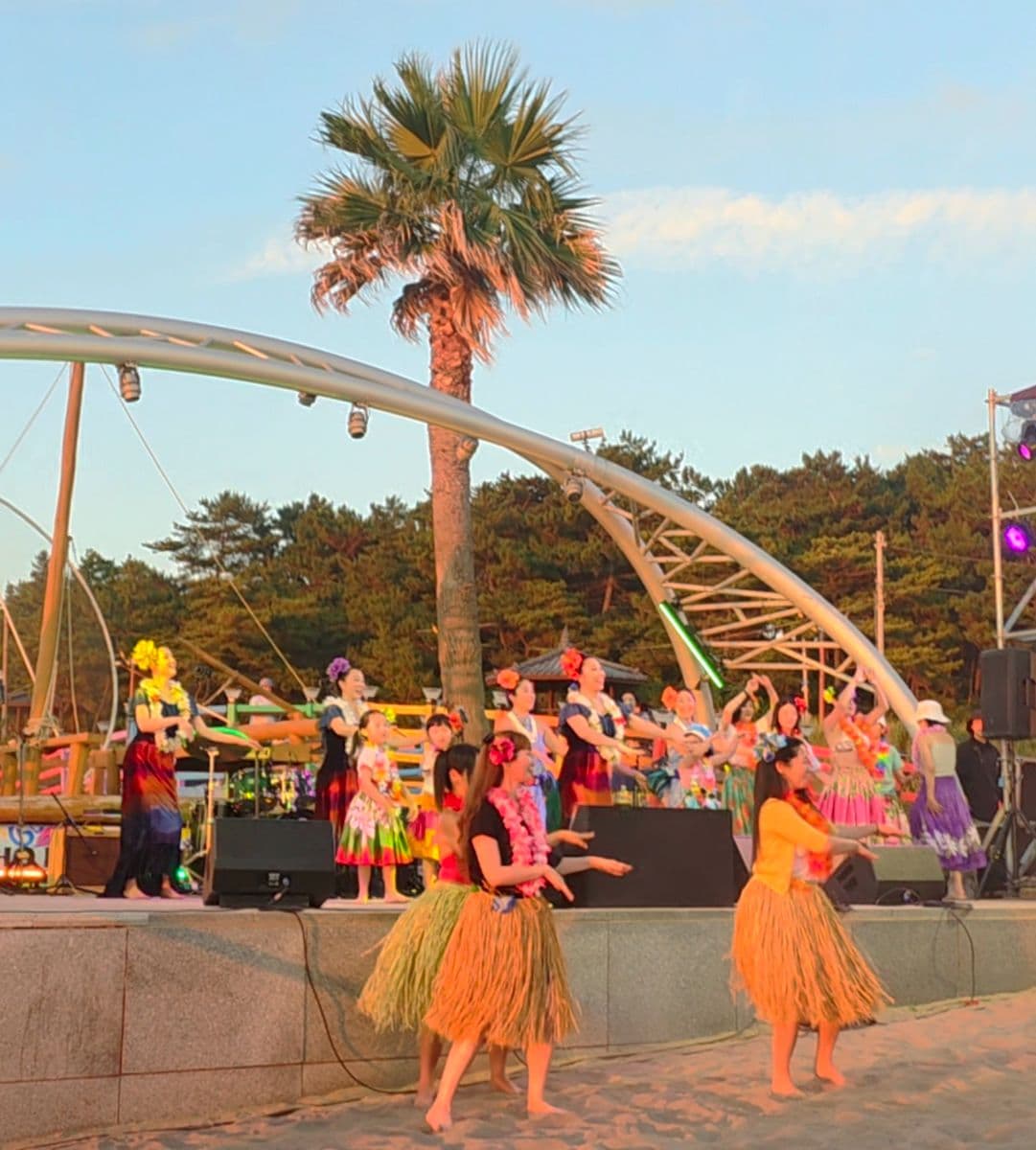 The Aloha Breeze Sweeping Jeju: 'Lanialohainjeju Hula's Vision for Cultural Exchange