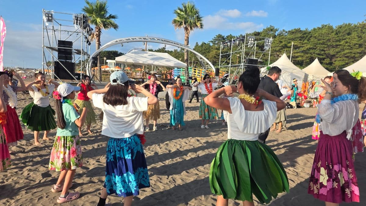 The Aloha Breeze Sweeping Jeju: 'Lanialohainjeju Hula's Vision for Cultural Exchange — photo 4